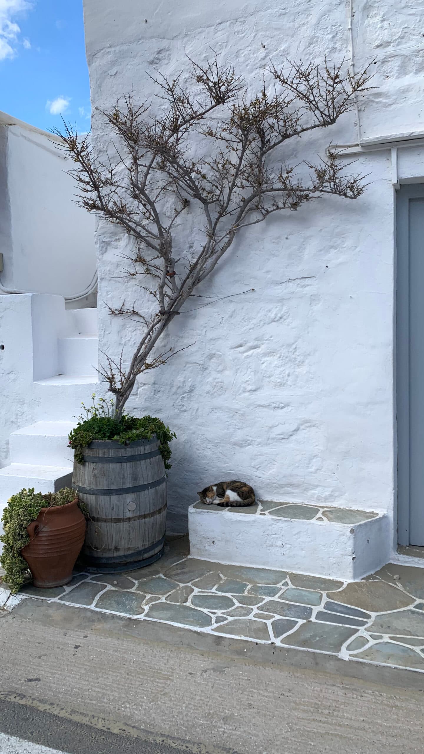 STROLL experience photo 1